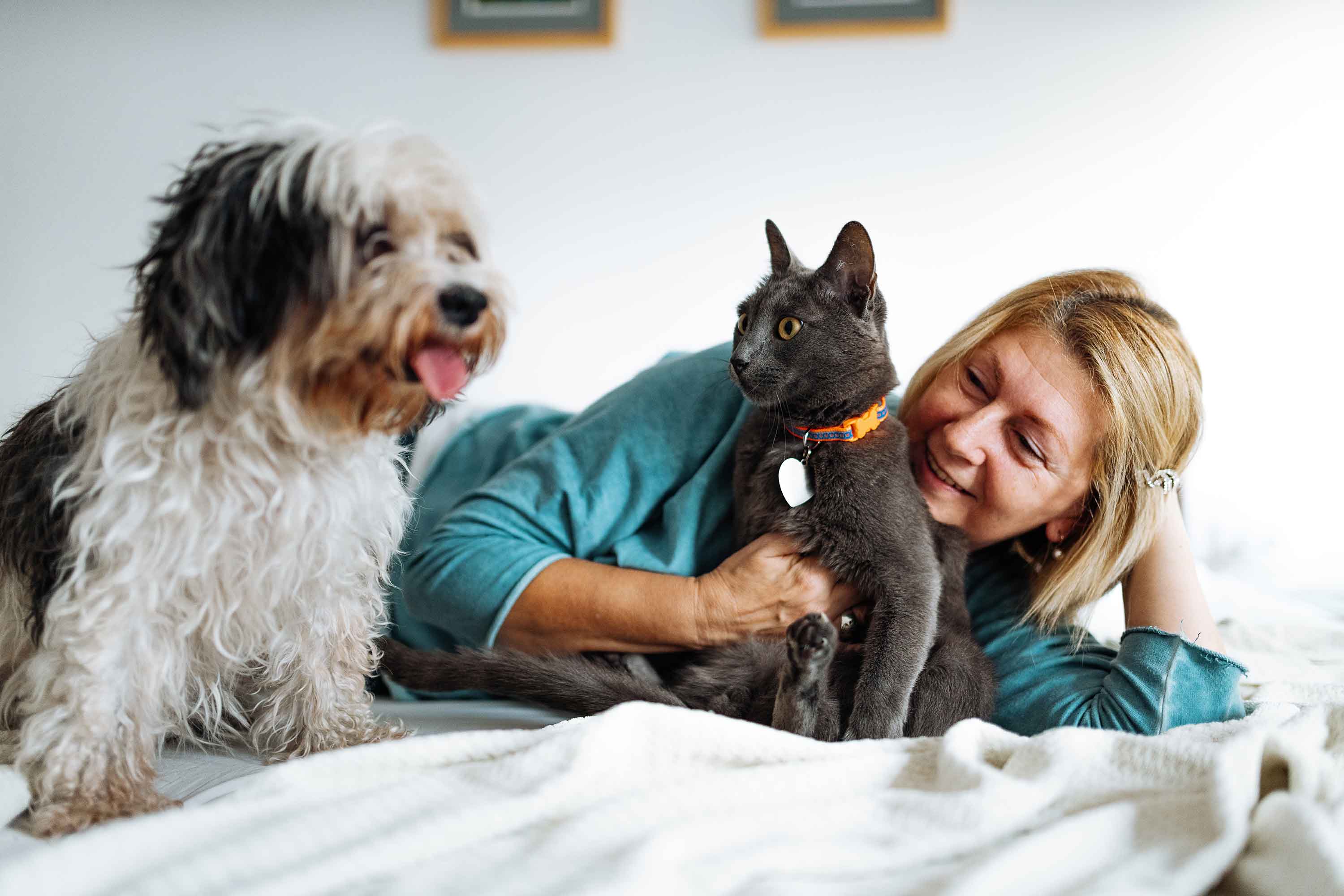 Dog and cat hugging with older woman in bed