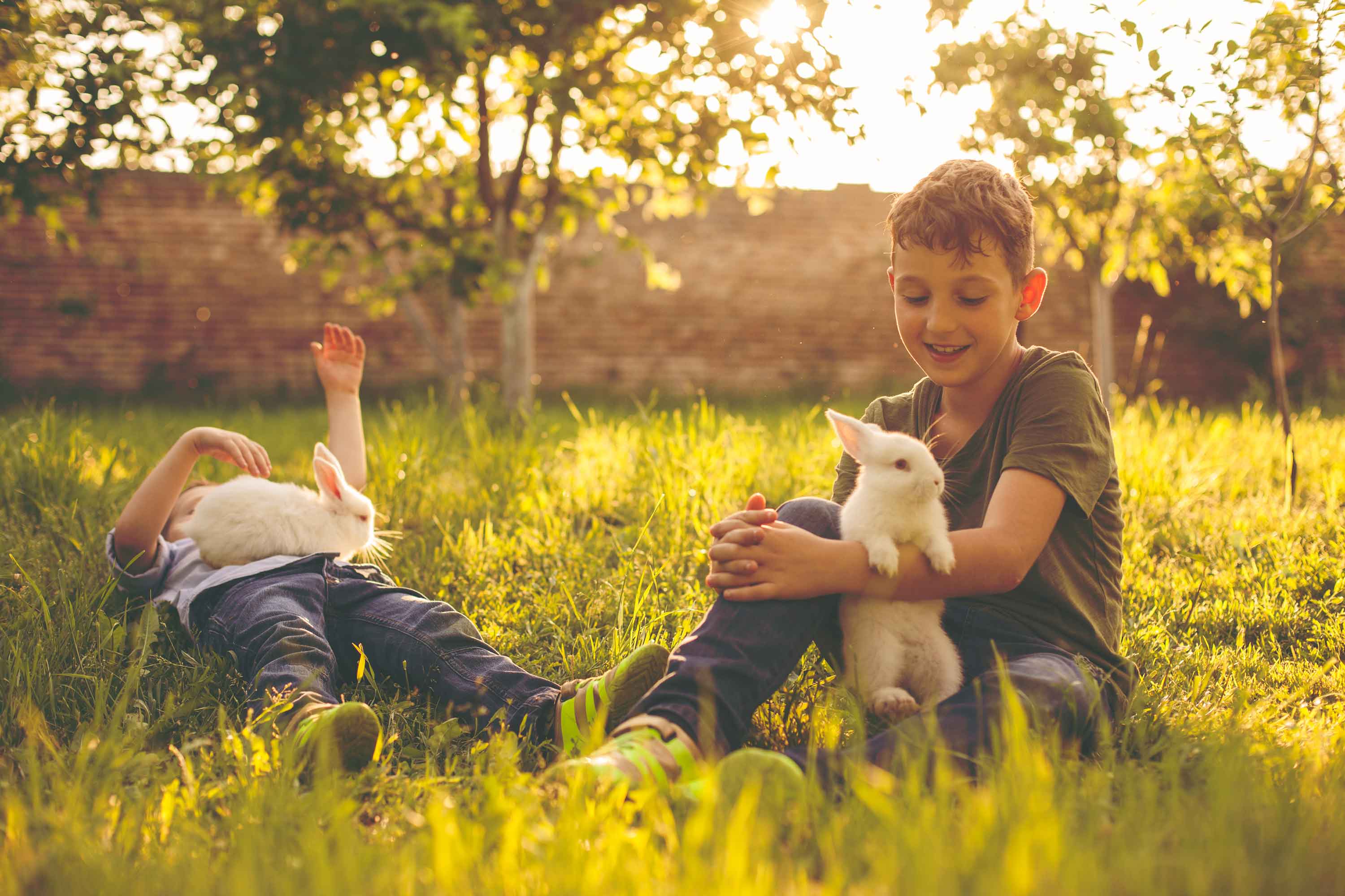 Children playing in the grass with rabbits - Flamingo Pet Products