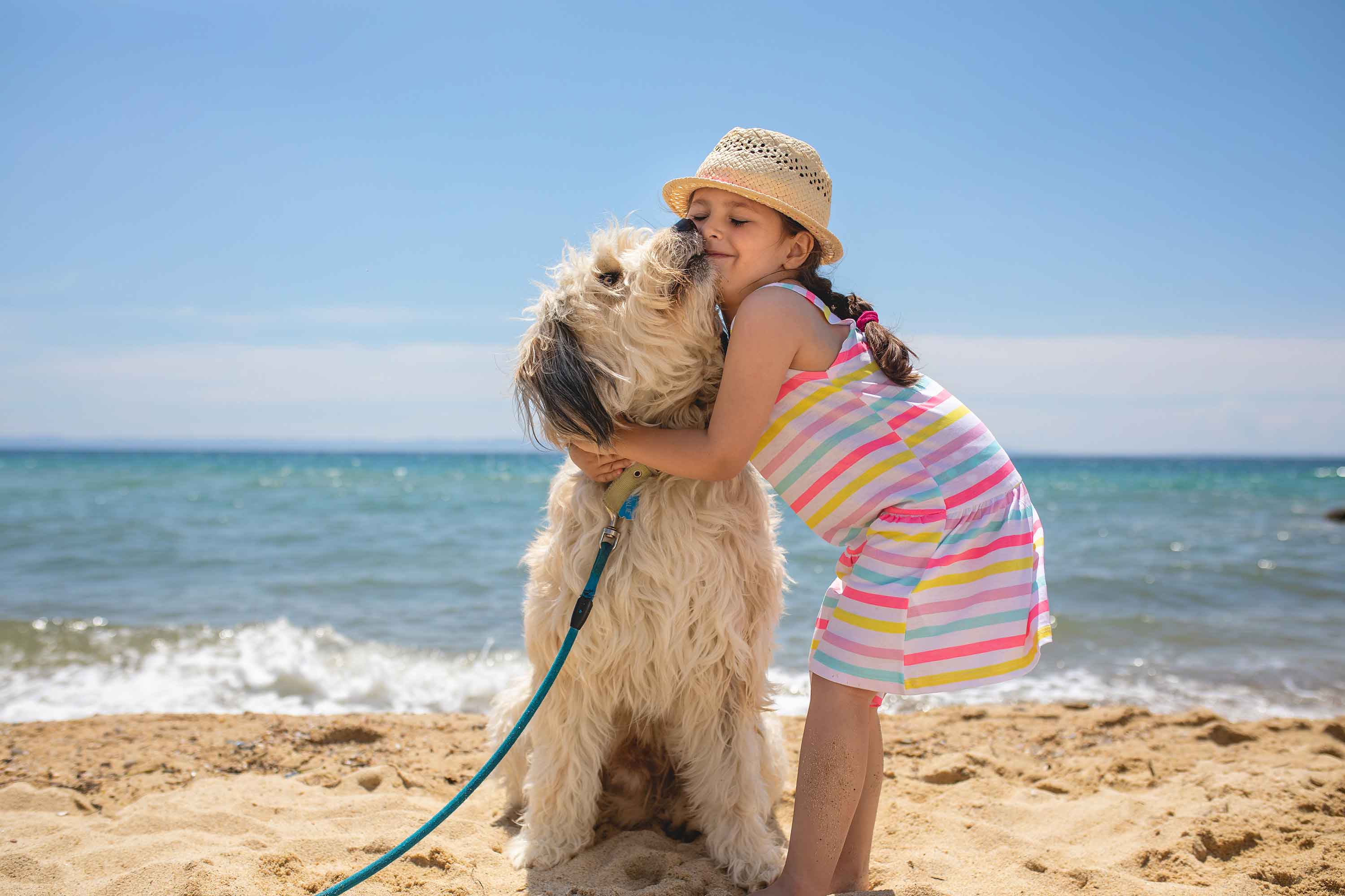 Girl cuddling dog on the beach - Meisje knuffelt hond op het strand - Flamingo Pet Products