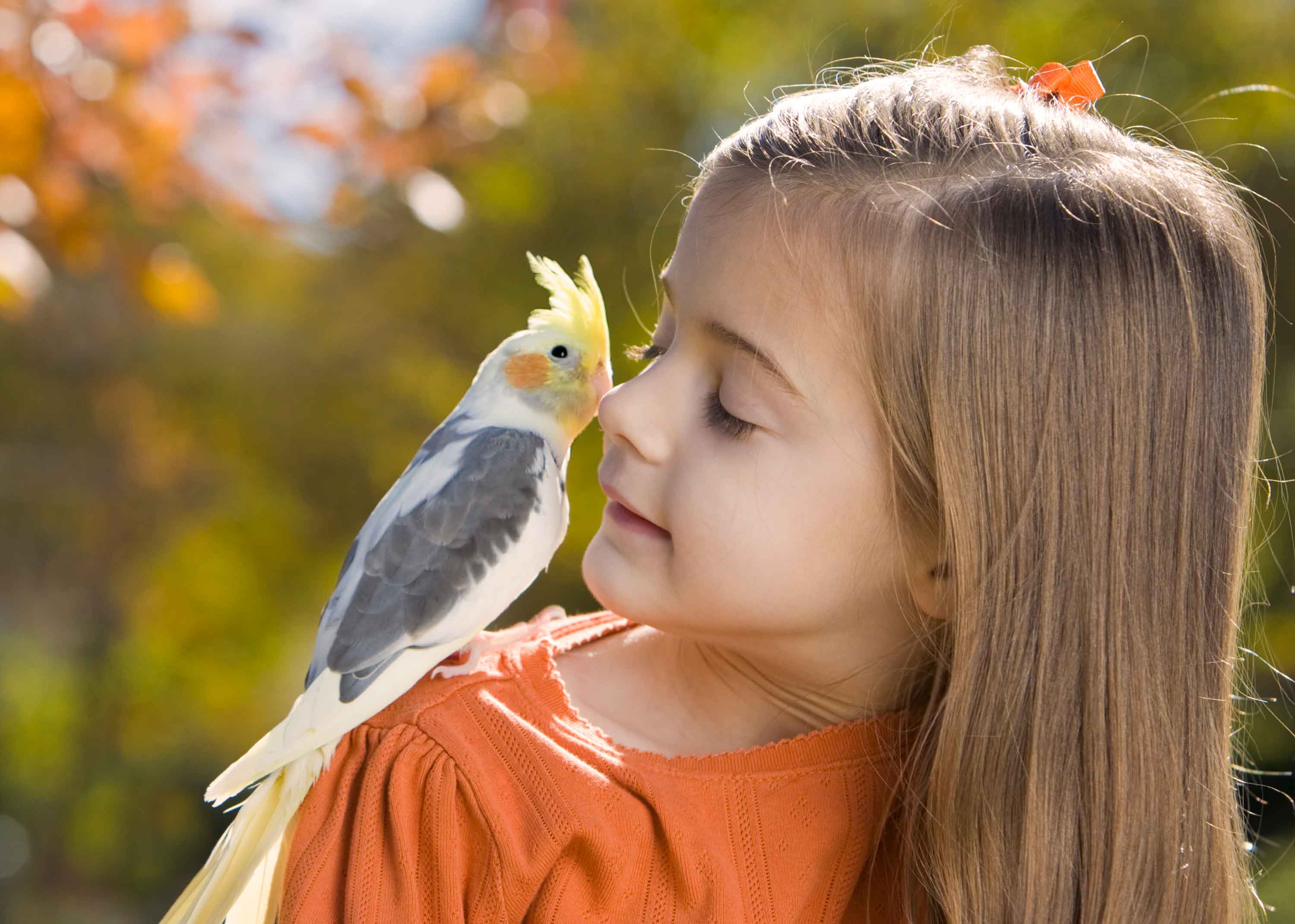 Girl has a bird on her shoulder - Flamingo Pet Products
