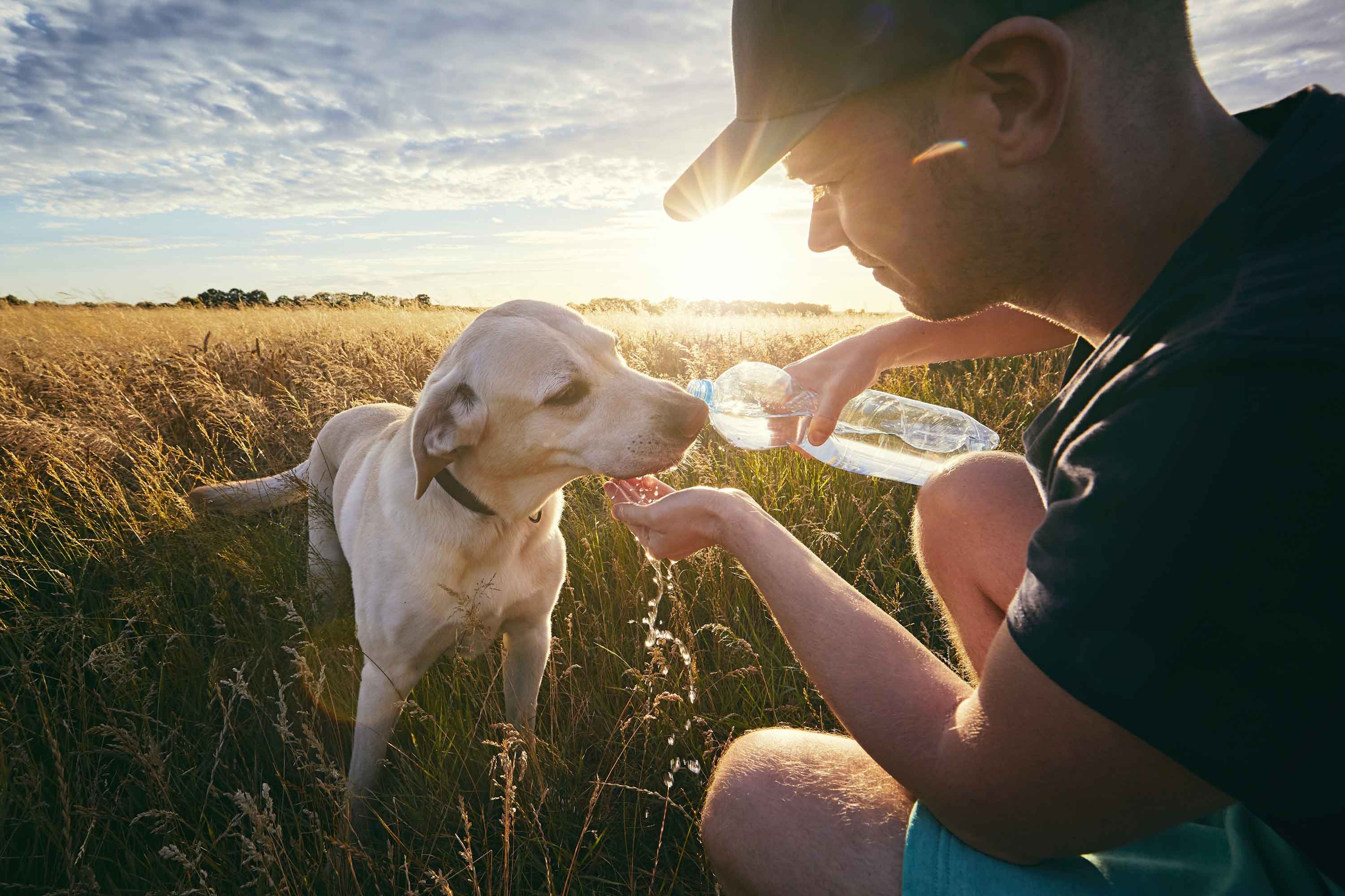Dog drinking from bottle with owner - Hond drinkt van flesje met baasje - Flamingo Pet Products